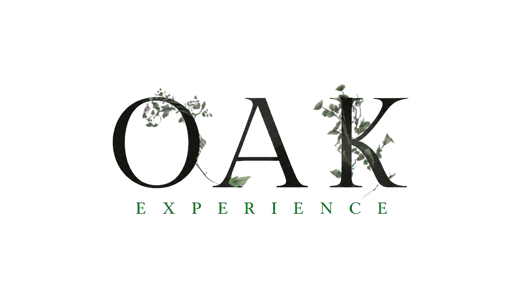 OAK Experience logo